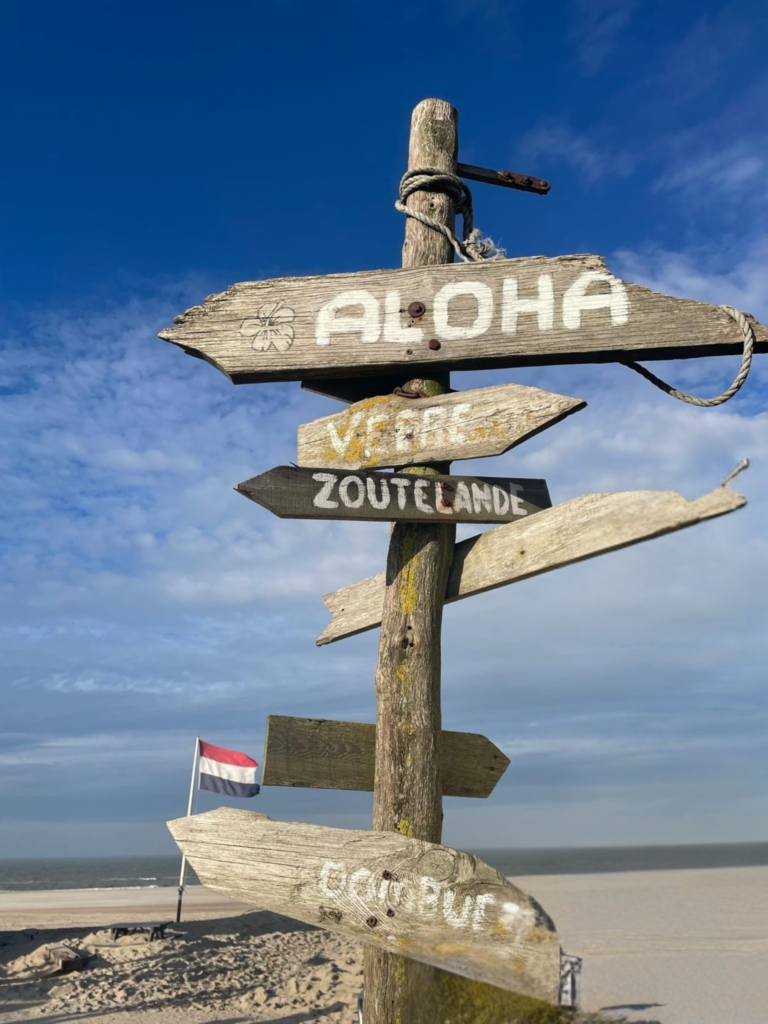 Onderwijsadvies, onderwijskunidge