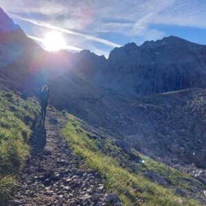 Begeleiding bij audits