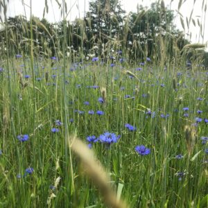 Ondersteuning team in zwaar weer